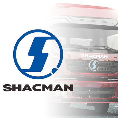 Shacman Truck Cabin Exterior Parts Koplampen Bumpers Panelen Achterkijkspiegels